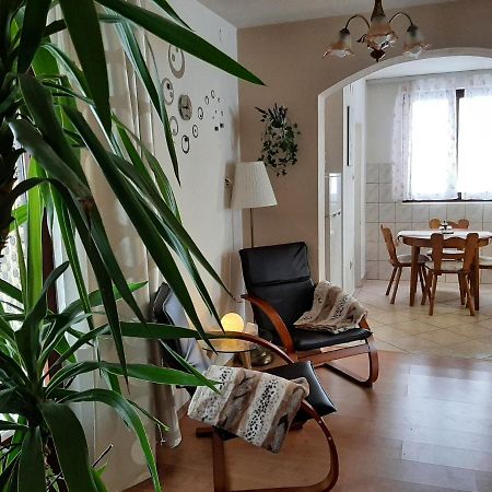 Apartment Zora - Guest House 奥古林 外观 照片