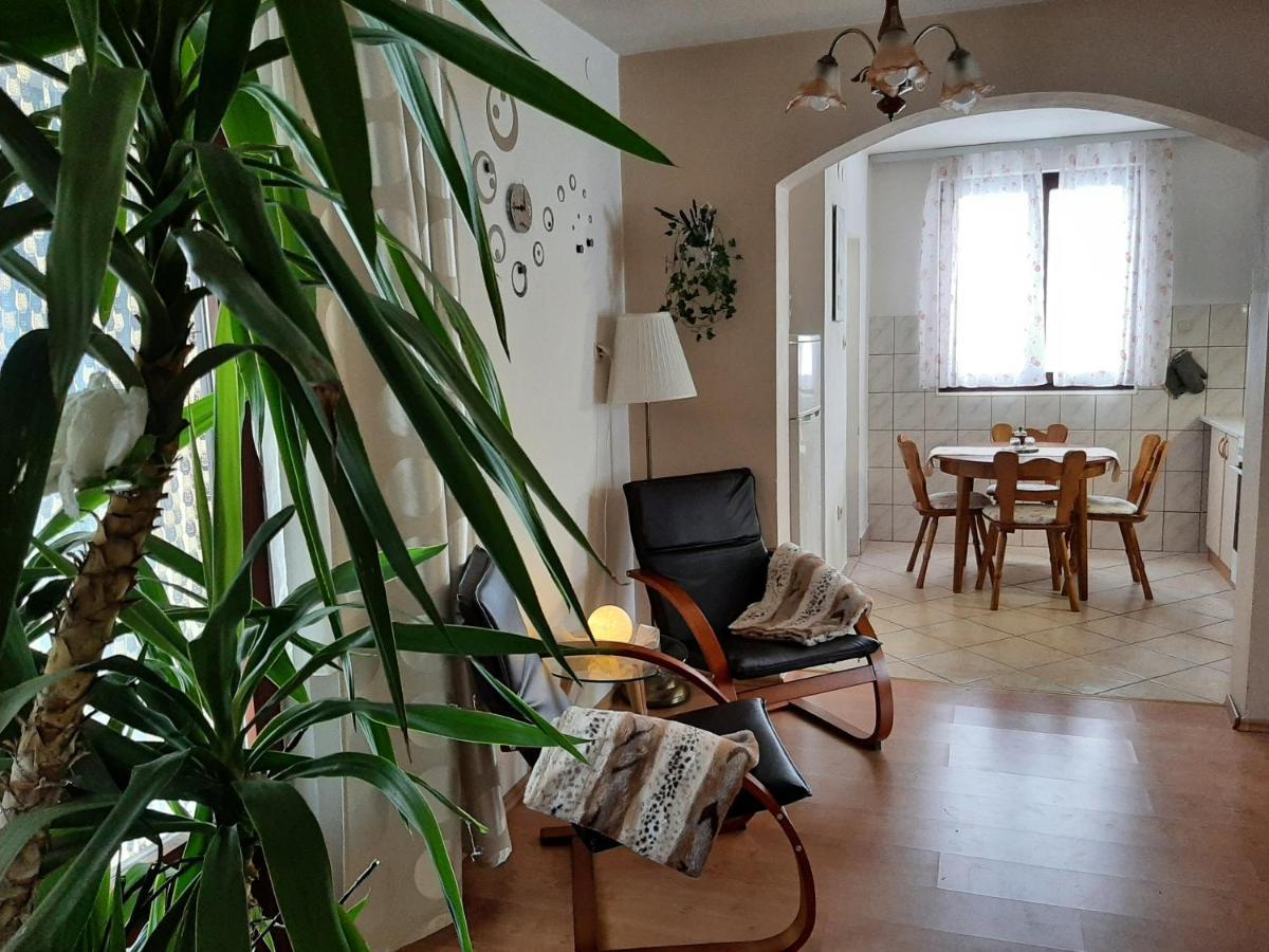 Apartment Zora - Guest House 奥古林 外观 照片
