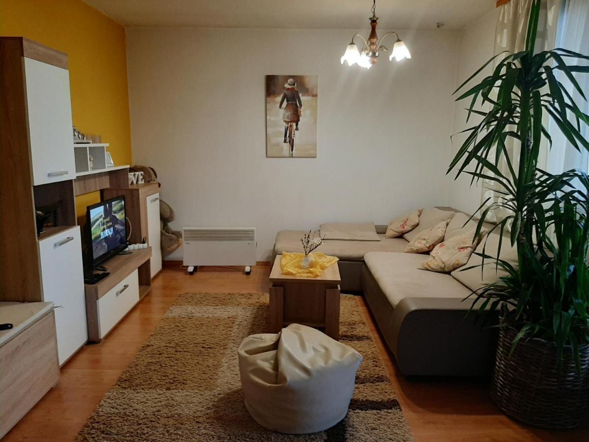 Apartment Zora - Guest House 奥古林 外观 照片